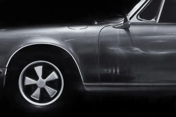 جنغلي وين كازينو تطبيق أندرويد/آي أو إس